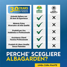 Carica l&#39;immagine nel visualizzatore di Gallery, Albagarden - Insetticida Antizanzare Naturale Biologico - Bacillus Thuringiensis, Larvicida Per Disinfestazione Zanzare Interno E Per Esterno - Repellente Naturale Contro Insetti. Polvere x 10 gr