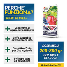 Carica l&#39;immagine nel visualizzatore di Gallery, Albagarden - Zolfo in Polvere bagnabile - Concime Minerale Naturale, Biologico, Pronto da Utilizzare con Fungicida Acaricida Oidio Mal Bianco Peronospora Ticchiolatura per Vite Olivo Agrumi X 1 kg