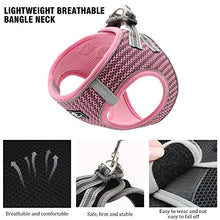 Carica l&#39;immagine nel visualizzatore di Gallery, BLEVET Confortevole Pettorina Imbracatura Riflettente Pet Walking L, 118 Pink