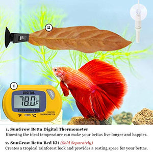 SunGrow - Termometro Digitale Betta