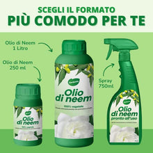 Carica l&#39;immagine nel visualizzatore di Gallery, Gardemia Olio di Neem per Piante 1 Litro 100% Vegetale Azione Naturale contro varie Avversità Giardino Casa Multiuso Estratto Meccanicamente con Pressatura a Freddo Straordinarie Proprietà Naturali