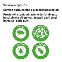 Carica l'immagine nel visualizzatore di Gallery, 6
