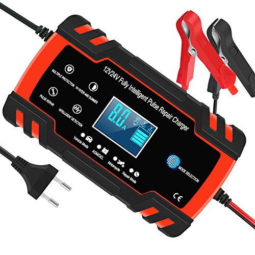 InThoor Mantenitore di Carica Auto 12V/24V 8A, Intelligente Automatico... - Ilgrandebazar