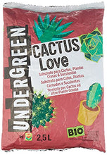 Carica l'immagine nel visualizzatore di Gallery, Undergreen CACTUS Love, Terriccio per Cactus e altre Piante Grasse da appartamento o balcone, Consentito in agricoltura biologica, 2.5 l