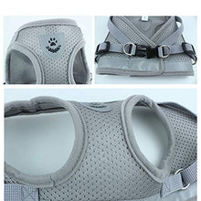 Carica l'immagine nel visualizzatore di Gallery, BVAGSS 2PCS Tessuto di Maglia del Imbottito Imbracatura XS, 041 Grey