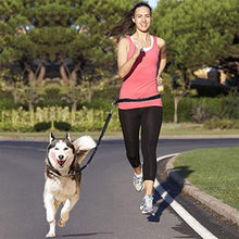 Carica l'immagine nel visualizzatore di Gallery, ADOGO - Guinzaglio per cani, che lascia le mani libere, assorbe Running Leads