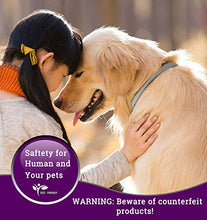 Carica l&#39;immagine nel visualizzatore di Gallery, Collare antipulci e zecche per Cani, Regolabile Impermeabile, 1 pacco