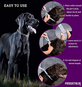 Collare antipulci e zecche per Cani, Regolabile Impermeabile, 1 pacco