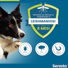 Carica l&#39;immagine nel visualizzatore di Gallery, Elanco Seresto Collare antiparassitario, Per cani oltre 8 kg, Elimina pulci, zecche, pidocchi e protegge dal rischio di trasmissione, Della leishmaniosi fino a 8 mesi, 1 pezzo