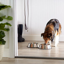 Carica l'immagine nel visualizzatore di Gallery, AmazonBasics - Ciotola per cani in acciaio INOX - Confezione da 2 - Ilgrandebazar