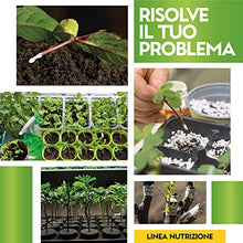 Carica l'immagine nel visualizzatore di Gallery, Albagarden Ormone Radicante Per Talee E Piante Verdi Universale - Micorrize Incrementa La Crescita Naturale Delle Radici, Radicante In Polvere Per Talee Erbacee, Legnose E Arbustive - 100 gr