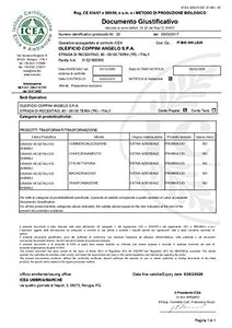 Olio Extra vergine di Oliva Coppini Biologico Italiano 1 latta da 5 Lt...