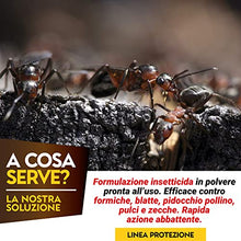 Carica l&#39;immagine nel visualizzatore di Gallery, Albagarden Albakill - Esca Anti Formiche Veleno - Insetticida Micro Granulare Per Ambienti Esterni Orto Casa Scarafaggi Grillotalpa Insetti Pulci Zecche Lumache Solubile Spray Antiformiche