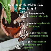Carica l'immagine nel visualizzatore di Gallery, ZOMA RADINAT Polvere Radicante per Talee 100% Naturale, Polvere Radicante Con Funghi Promotori Della Radicazione e Germinazione, Biostimolatore Delle Radici