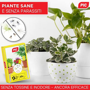 Insetticida moscerini piante interno adesivi gialli 60 Trappole - Moscerini in casa - trappola moscerini - trappola per moscerini - PIC