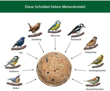 Carica l'immagine nel visualizzatore di Gallery, Dehner Natura - Mangime per uccelli selvatici, gnocchi di cinciciocche, rete biologica, 30 pezzi da 90 grammi (2,7 kg), 1 pezzo (1 pezzo)