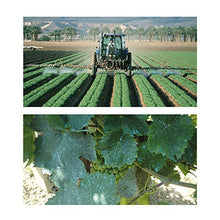Carica l&#39;immagine nel visualizzatore di Gallery, Albagarden - Piante Frutta Naturale Bio Polti20 Biologico Bordolese Rame + Boro Orto Vite Peronospora Oidio Verderame Solfato Ossicloruro x 1 kg