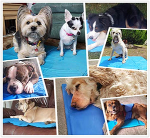 Cadosoigh Tappetino rinfrescante Cani 120 * 70cm - Gel Non XL (120X70 cm)