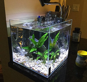 ONEVER Lampada di serbatoio pesce della lampada del morsetto... - Ilgrandebazar