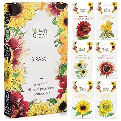 OwnGrown Set Semi di Girasole - 6 Varietà di Semi di Girasole da Piantare - Semi di Girasole Giganti e Piccoli - Semi da Piantare - Semi per Fiori Alti