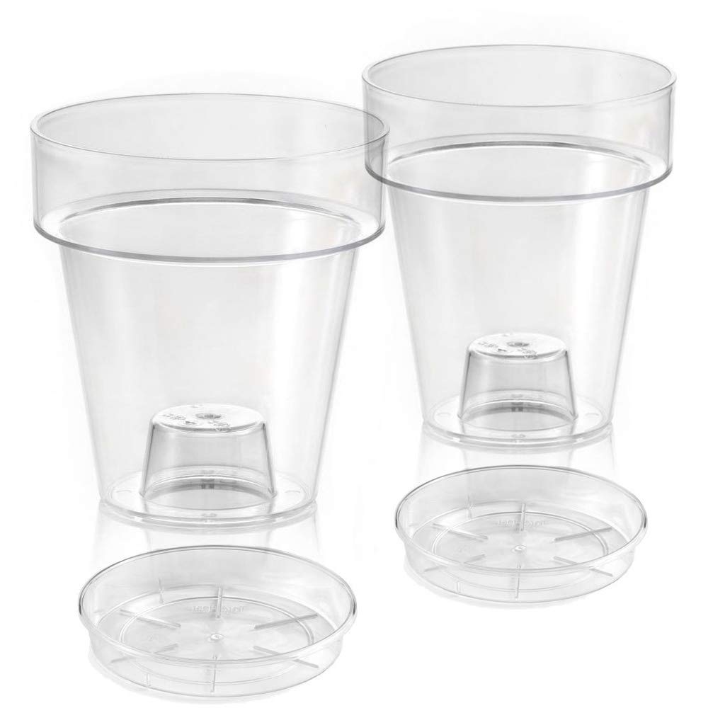 VASO TRASPARENTE 