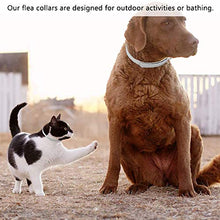 Carica l&#39;immagine nel visualizzatore di Gallery, BESLIME 2Pcs Collare antipulci per Gatti, Antipulci Cane Gatto,...