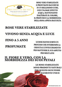 AA 1068 Cubo Rosa Stabilizzata Bianca 6cm 6x6x6 profumata, Il con una... - Ilgrandebazar