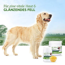 Carica l&#39;immagine nel visualizzatore di Gallery, AniForte Omega-3 Capsule di Olio Salmone per Cani e Gatti 500 -...