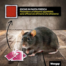 Carica l'immagine nel visualizzatore di Gallery, 5