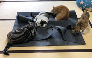 ANG Tappetino da gioco per gatti, pieghevole, addestrare i graffi