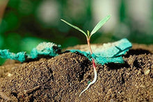 Carica l&#39;immagine nel visualizzatore di Gallery, Carta per seminare in diverse forme, confezione da 100 pezzi Flower - Ilgrandebazar