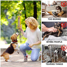 Carica l&#39;immagine nel visualizzatore di Gallery, PetGens Dummy per Cani, Massaggiagengive a forma di salsicciotto e rotolo,...