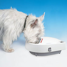 Carica l'immagine nel visualizzatore di Gallery, Cat Mate C300 Ciotola per dosaggio Automatico dei 3 pasti, con Timer...
