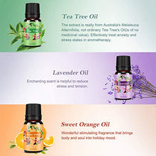 Carica l'immagine nel visualizzatore di Gallery, Oli Essenziali per Diffusori Top 6 Set - Aromaterapia Olio Essenziale Clear