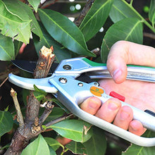 Carica l'immagine nel visualizzatore di Gallery, GRÜNTEK Forbici Cesoie da Potatura a Cricchetto per Giardinaggio Professionale Condor 20 cm