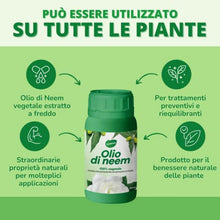 Carica l'immagine nel visualizzatore di Gallery, 1