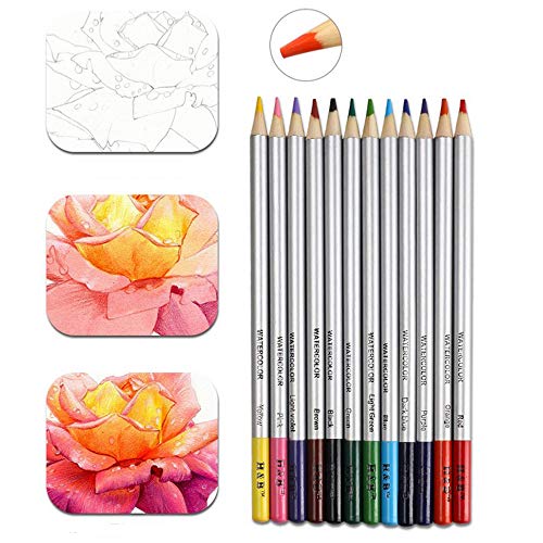 WOMGF Set Matite Colorate Professionali da Disegno Colori Matita 53pcs –