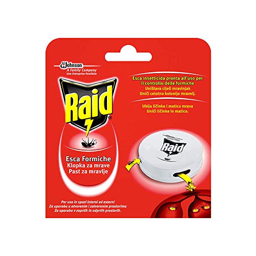 Raid Esca Formiche Insetticida, Pronta all'Uso in Spazi Interni ed Esterni, Confezione da 1 pezzo