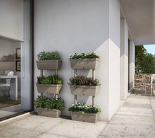 Carica l&#39;immagine nel visualizzatore di Gallery, Balconetta&quot;Lolego&quot; Kit 3+4Pz