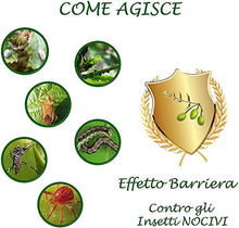 Carica l&#39;immagine nel visualizzatore di Gallery, bio A.L.T Olio di Neem 250 ml Insetticida, Repellente, Disinfettante Bio...