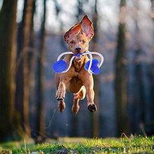 Carica l&#39;immagine nel visualizzatore di Gallery, Nifogo Giocattoli per i Cani Piccoli,Pet Palla con Ventosa,con...