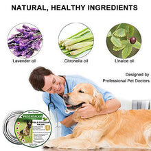 Carica l&#39;immagine nel visualizzatore di Gallery, Collare Antipulci Cane, per Cani e Zecche Regolabile 1pack