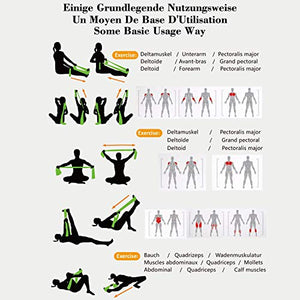 WOTEK Bande Elastiche Fitness-Elastici Fitness con 3 Livelli di colorful