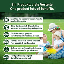 Carica l'immagine nel visualizzatore di Gallery, Veddelholzer Sementi resistenti alla siccità per prati aridi &amp; ombrosi semi di prato semi d'erba germinazione veloce ideale come sementi per tappeti erbosi sportivi e i campi