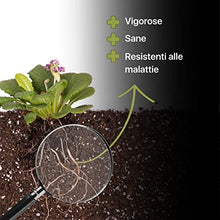 Carica l'immagine nel visualizzatore di Gallery, ZOMA RADINAT Polvere Radicante per Talee 100% Naturale, Polvere Radicante Con Funghi Promotori Della Radicazione e Germinazione, Biostimolatore Delle Radici