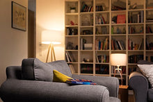 Carica l&#39;immagine nel visualizzatore di Gallery, Osram Lampadina LED Daylight Sensor con sensore crepuscolare, E27, 1 pezzo - Ilgrandebazar