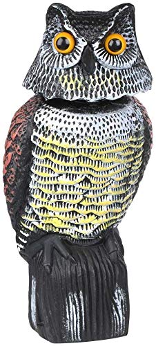 HelpAccess spaventapasseri/Spaventa Piccioni, Gufo con la testa ruotante