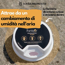 Carica l&#39;immagine nel visualizzatore di Gallery, Panteer ® Lattina di esca per formiche - 4 esche per formiche - Facile controllo delle formiche con veleno per formiche - Contro più di 3 specie - Per interni e per le formiche nel prato