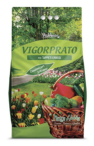VIGORPRATO UNIVERSALE, concime per prati tutto l'anno, kg 5, Vitaverde