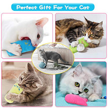 Carica l&#39;immagine nel visualizzatore di Gallery, JOYUE 10 Pezzi Giocattolo Catnip per Gatti, Cuscino in Valeriana, Giocattolo...